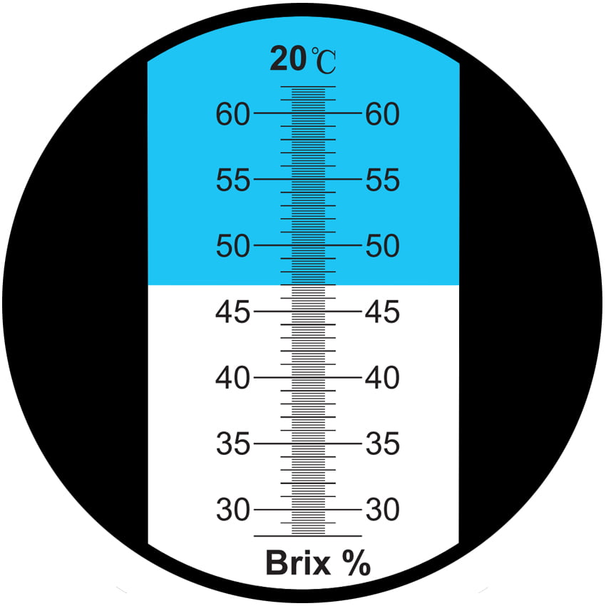 สเกล 28-62BRIX