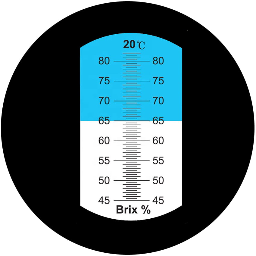 สเกล 45-82BRIX
