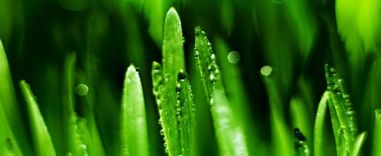 ความชื้นในอากาศ (Air Humidity)