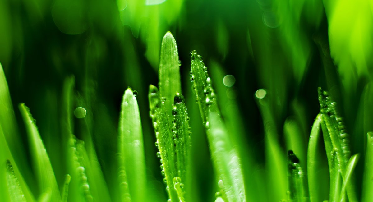 ความชื้นในอากาศ (Air Humidity)