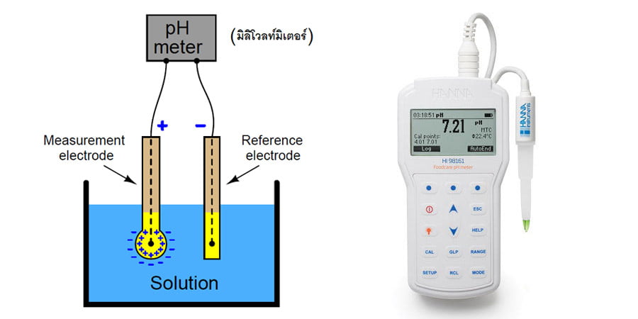 ส่วนประกอบของ ph meter