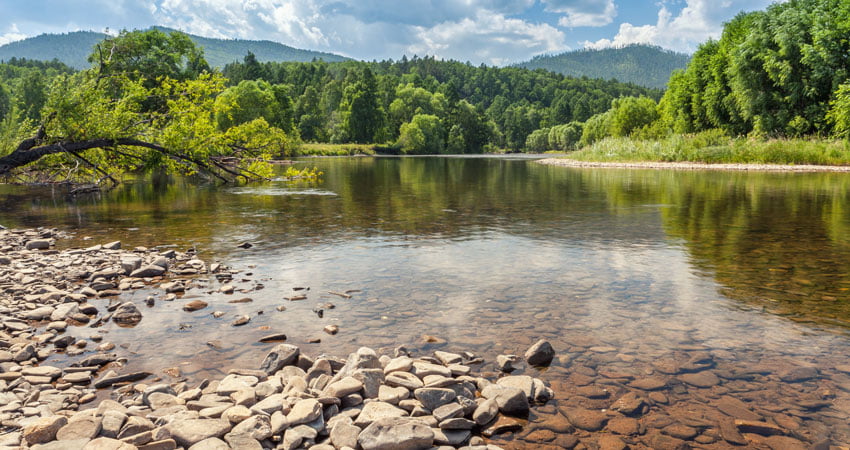 water quality