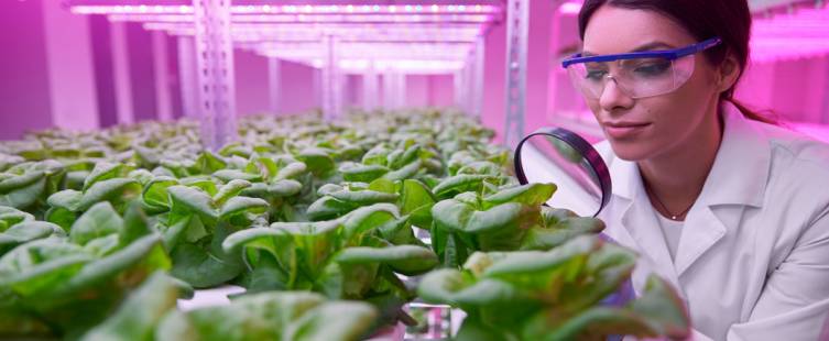 hydroponic