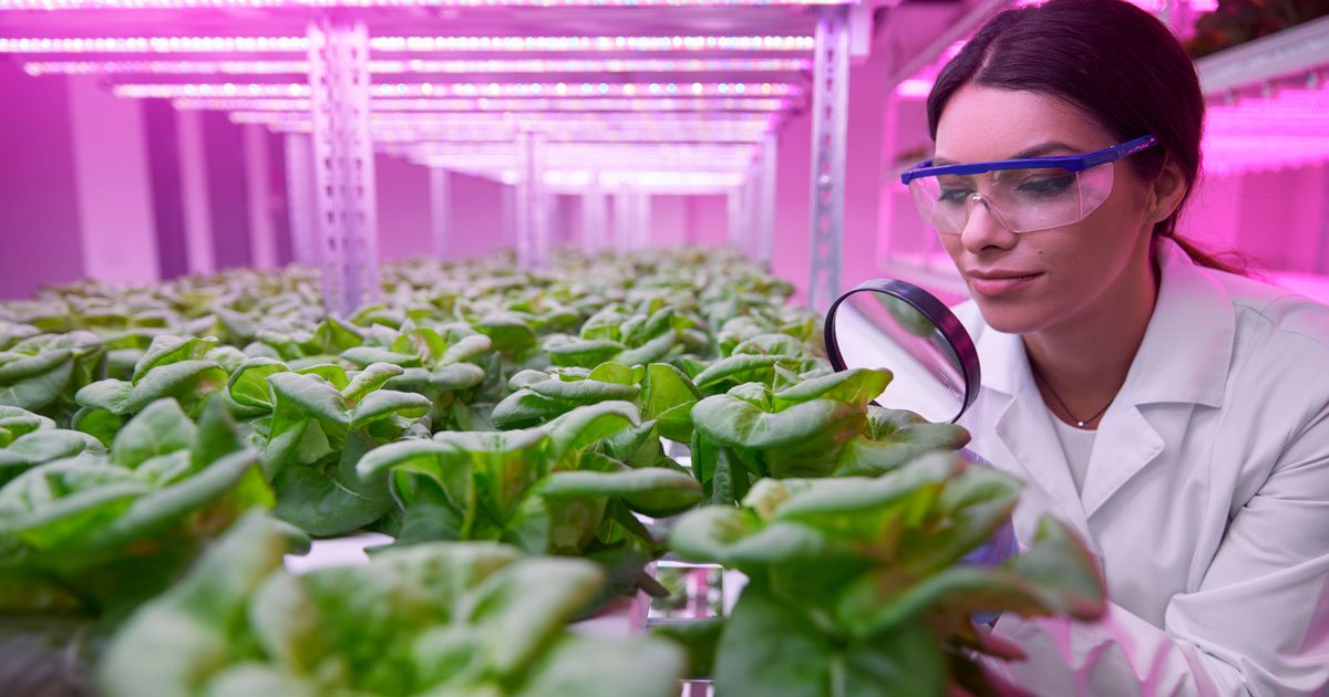 hydroponic