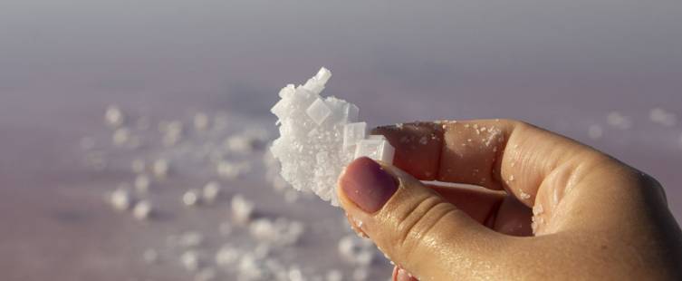 Salinity คืออะไร