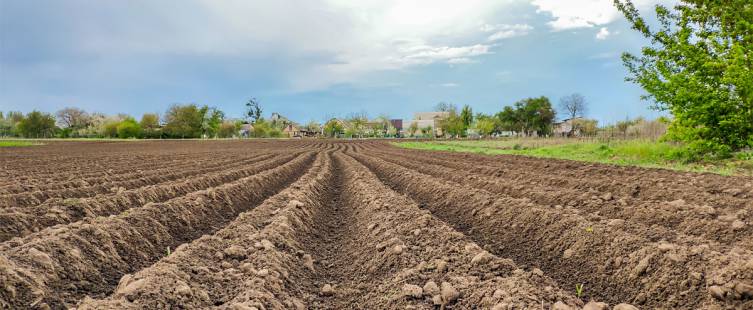 pH ดิน (Soil pH)