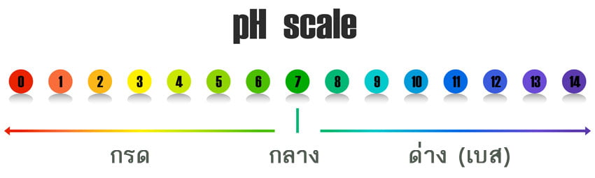 ค่า pH และคลอรีน
