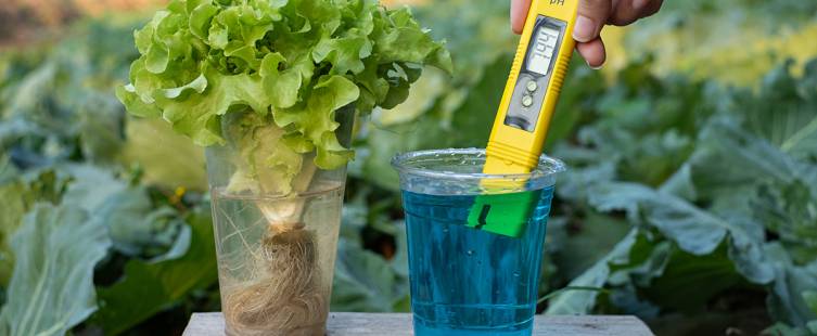 Digital pH meter