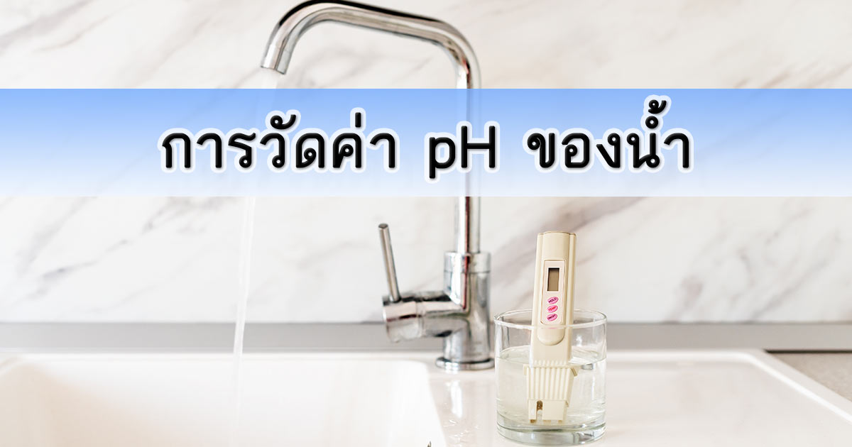 การวัดค่า pH ของน้ำ