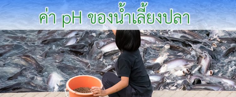ค่า pH ของน้ำเลี้ยงปลา