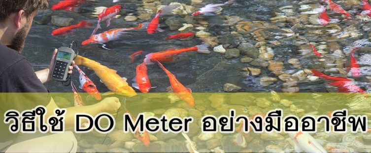 DO meter วิธีใช้