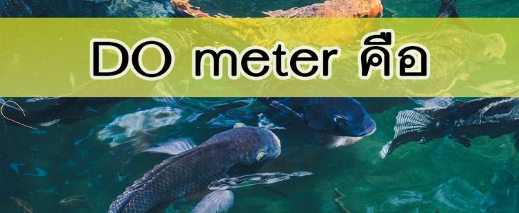 do meter คือ