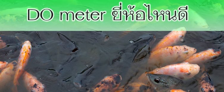 DO meter ยี่ห้อไหนดี
