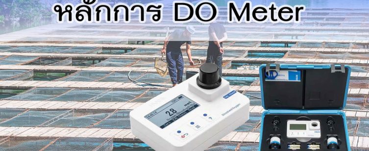 do meter หลักการ