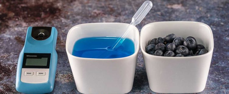 เครื่องวัดความหวานมีกี่ประเภท