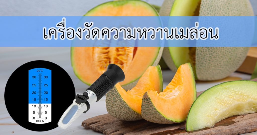 เครื่องวัดความหวานเมล่อน