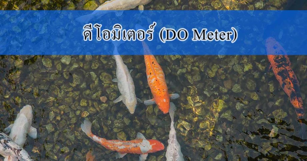 ดีโอมิเตอร์