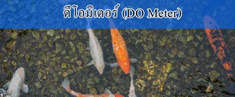 ดีโอมิเตอร์