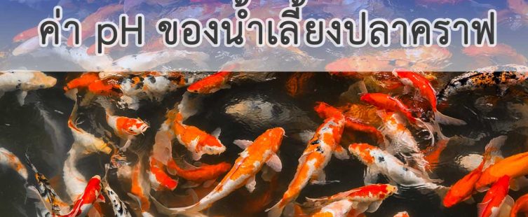 ค่า ph ของน้ำเลี้ยงปลาคราฟ
